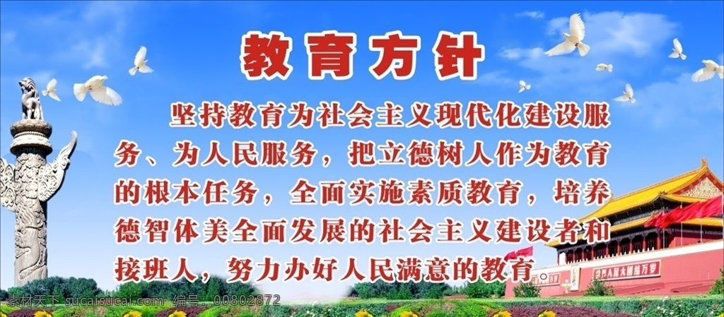 教育方针 蓝天白云 华表 天安门 鸽子 和平鸽 花坪 草地 党务 创卫展板设计