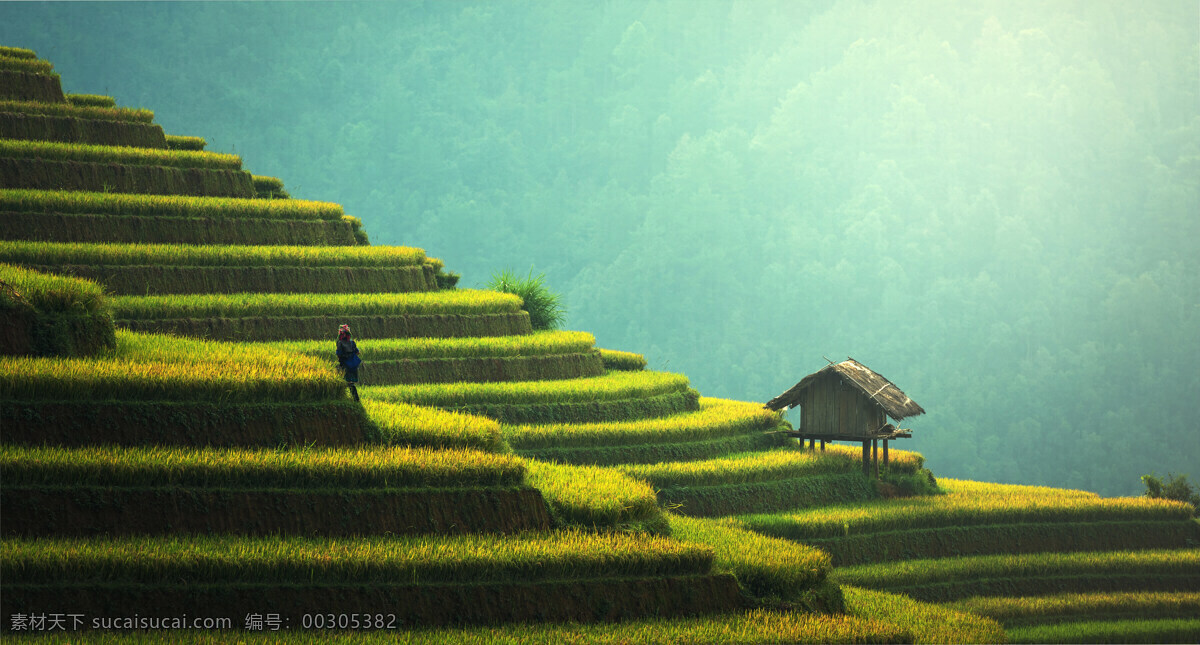 田园风光 自然景观 绿色自然背景 清新绿色背景 壁纸 背景 自然风景