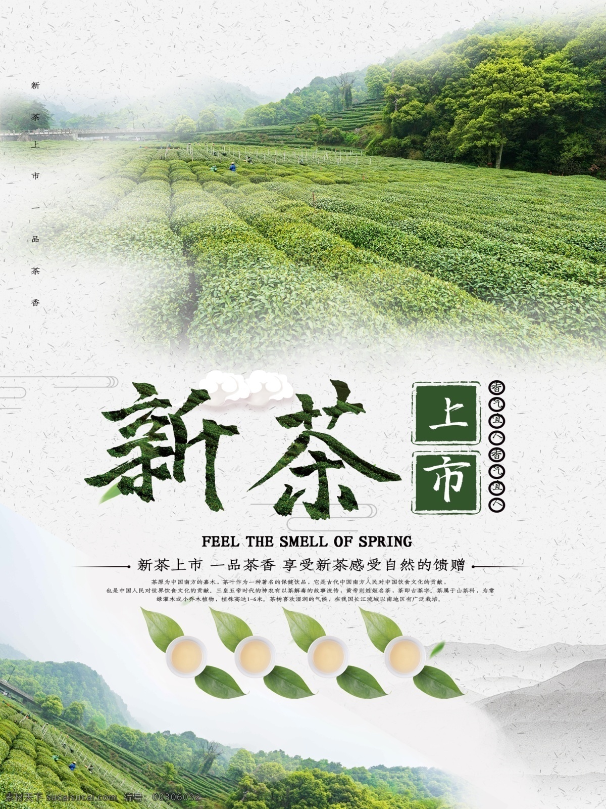 欢迎品鉴 新茶上市海报 新茶上市广告 新茶 春茶上市 春茶上市海报 春茶 新茶上市素材 新茶上市展架 茶文化 茶画册 中华茶文化 茶文化海报 茶叶 茶叶画册 铁观音 普洱茶 明前茶 乌龙茶 龙井 茶道 中国风 新茶叶 好茶叶 佛山新茶 茶楼