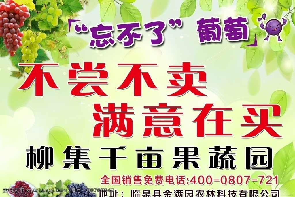 葡萄单页 忘不了 葡萄 不尝不卖 满意再买 红提 青提 葡萄叶 背景等