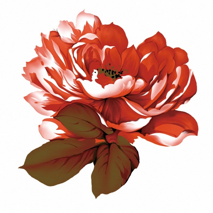 位图免费下载 服装图案 花卉 时尚休闲女装 位图 植物 成熟优雅女装 面料图库 服装设计 图案花型