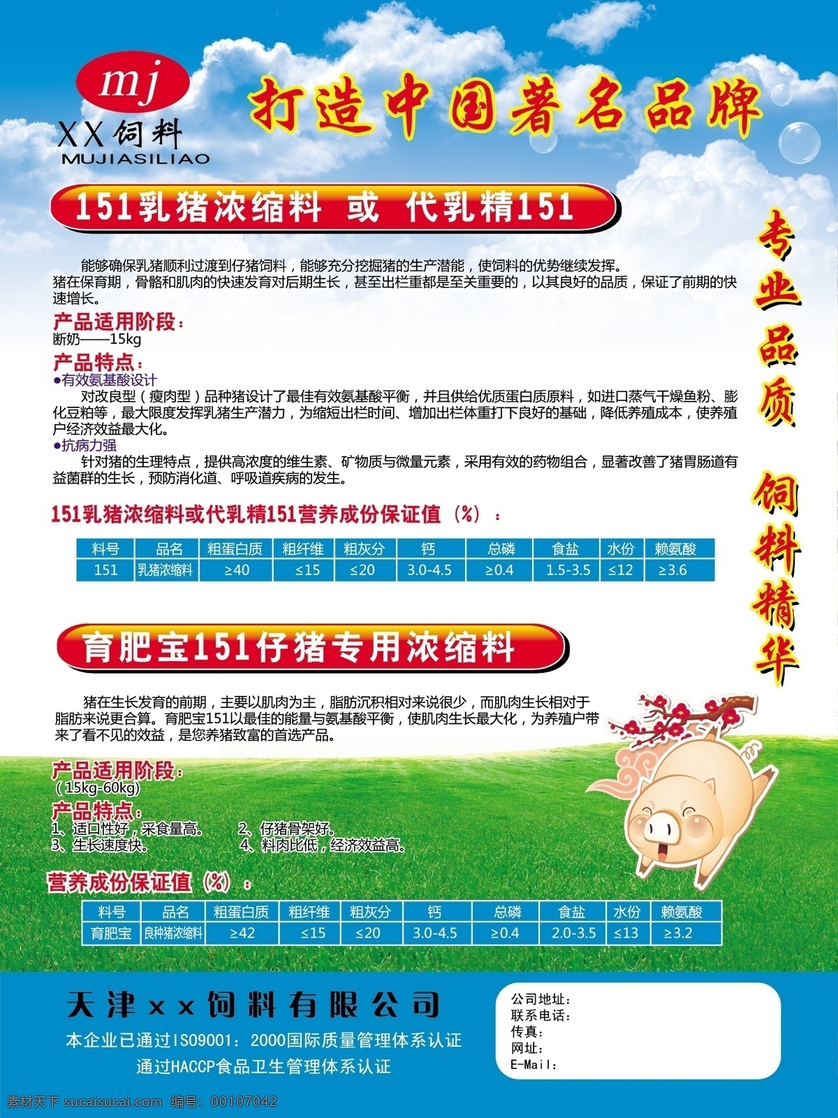 饲料 单 页 dm单 dm宣传单 单页 画册 饲料单页 猪饲料 饲料厂 饲料厂dm单 矢量
