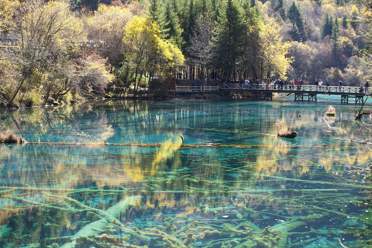 九寨沟风光 九寨沟 湖泊 山水 树木 彩池 秋冬 风光摄影 自然风景 旅游摄影