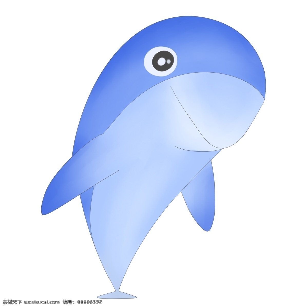 蓝色海豚生物 养殖 蓝色 水生