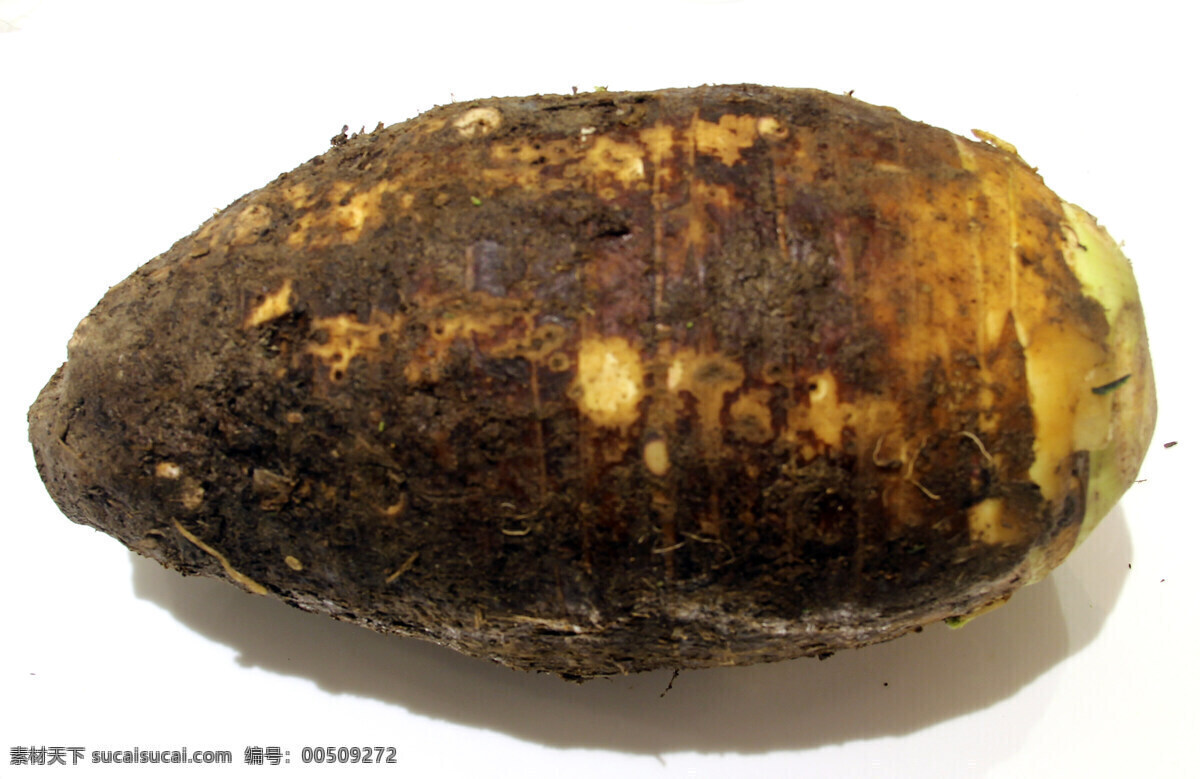 蔬菜免费下载 安全 黑色 健康 生物世界 食品 蔬菜 新鲜 未加工 生的 芋头 风景 生活 旅游餐饮