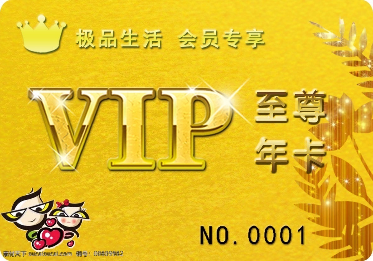 金色 高端 大气 vip 至尊 年 卡 pvc卡 至尊年卡 饭店 美容 汽车 名片卡片