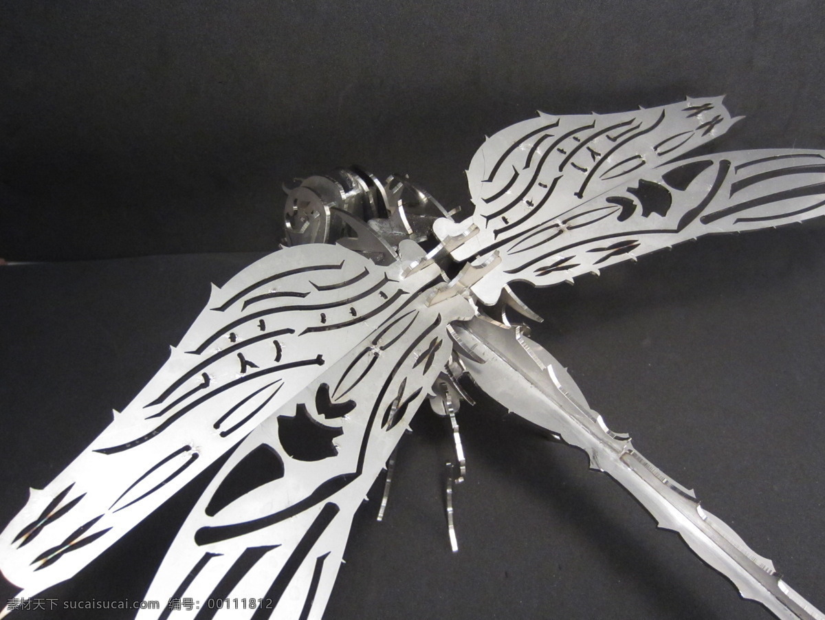 蜻蜓 钣金 三维 模型 metalcraftdesign 拼图 昆虫