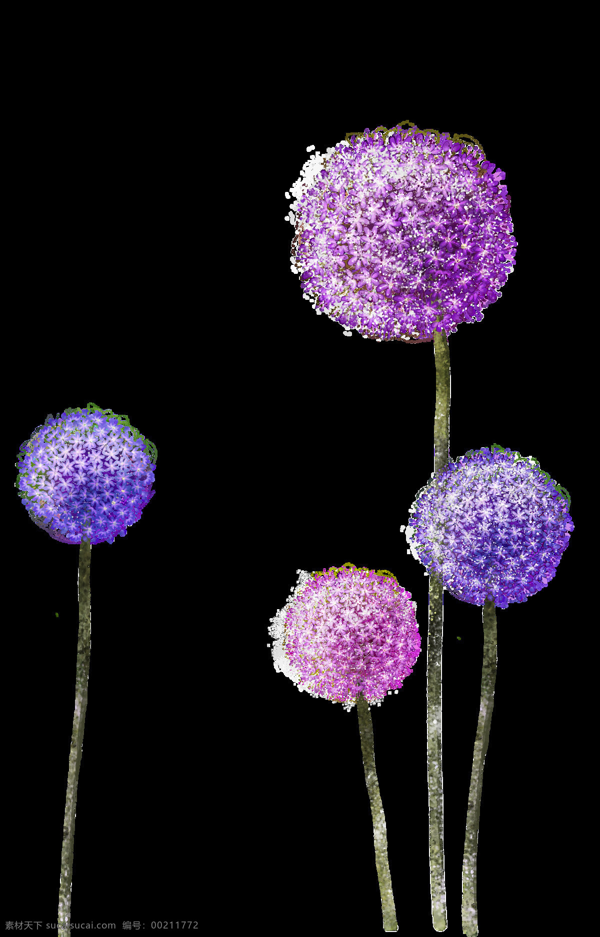 紫色 蒲公英 透明 绚丽 卡通 抠图专用 装饰 设计素材