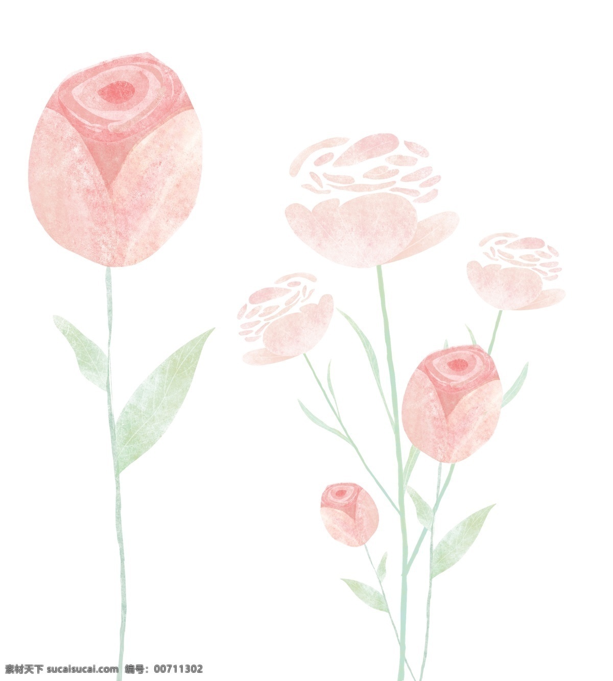 植物花朵 水彩 插画 个性 包装 植物 分层