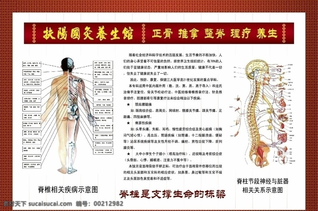 中医 理疗 养生 馆 挂图 正骨 整脊 推拿 按摩 脊椎 相关 疾病 示意图 脊柱 节 段 神经 脏器 关系 扶 阳 国 疚 颈椎 腰椎 胸椎 矢量图 矢量