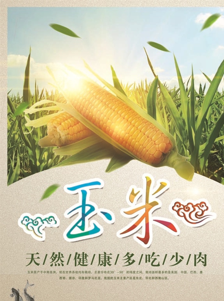 有机 新鲜 玉米 蔬菜 促销 海报 有机新鲜玉米 蔬菜促销海报 玉米海报