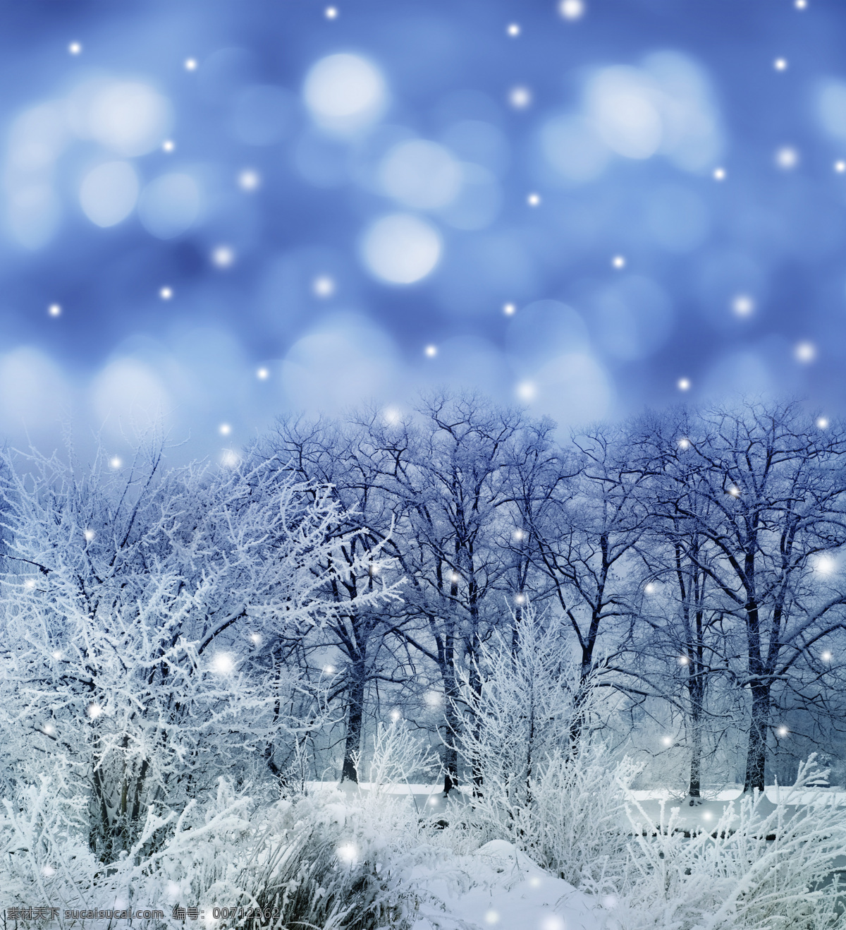 冬季 雪景 冬天 美丽风景 景色 美景 梦幻 雪花 光斑 梦幻背景 雪景图片 风景图片