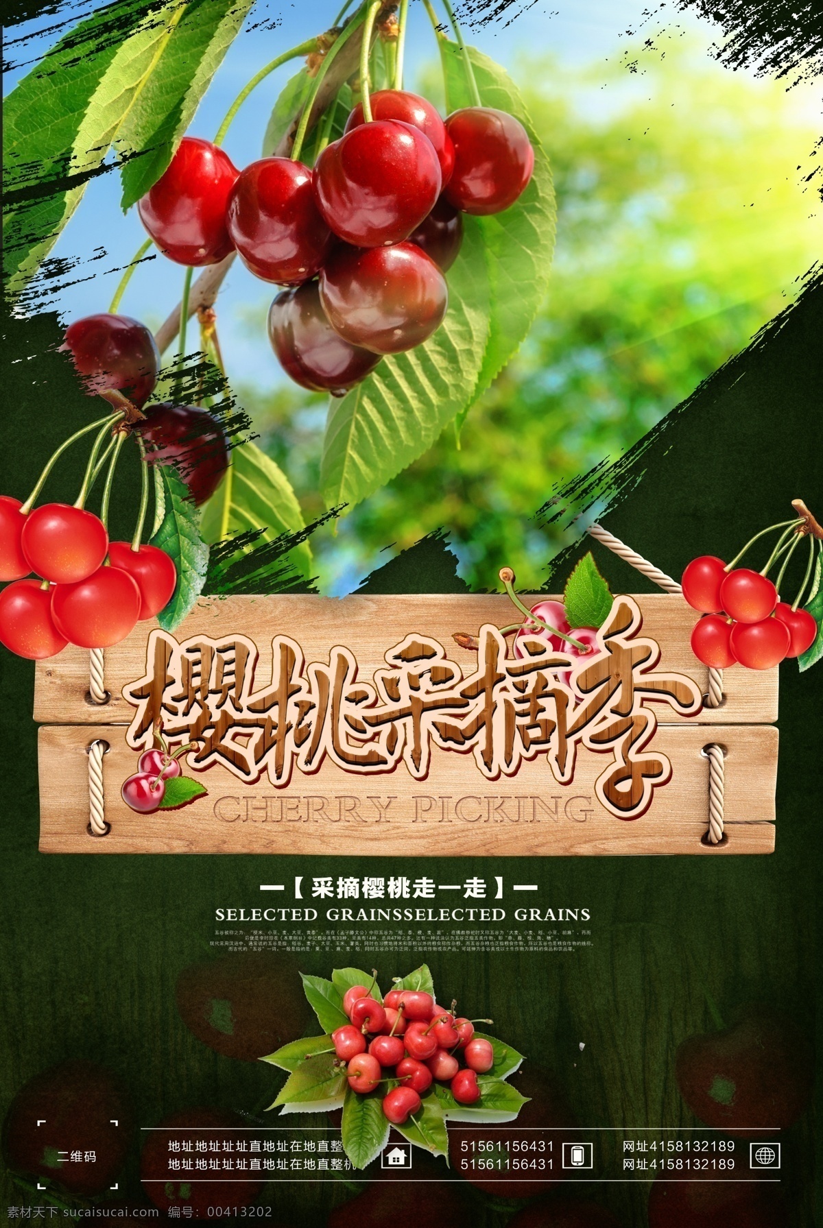 樱桃采摘季 桃 车厘子 樱桃展板 樱桃文化 樱桃素材 樱桃挂画 水果樱桃 樱桃水果 樱桃批发 摘樱桃 批发樱桃 樱桃专卖 樱桃基地 樱桃挂图 樱桃采摘 美味樱桃 吃樱桃 种植樱桃 樱桃熟了 樱桃树 樱桃园 樱桃果园 新鲜樱桃 樱桃特写 樱桃画册 樱桃产地 分层