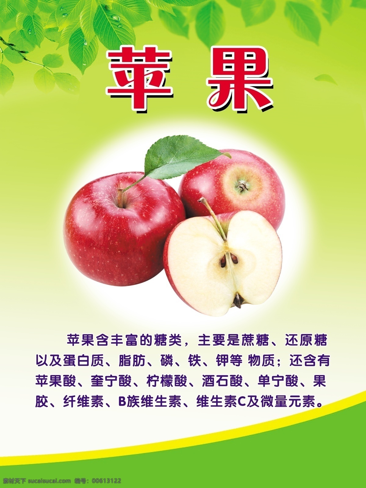 苹果 苹果简介 绿色 苹果的作用 果