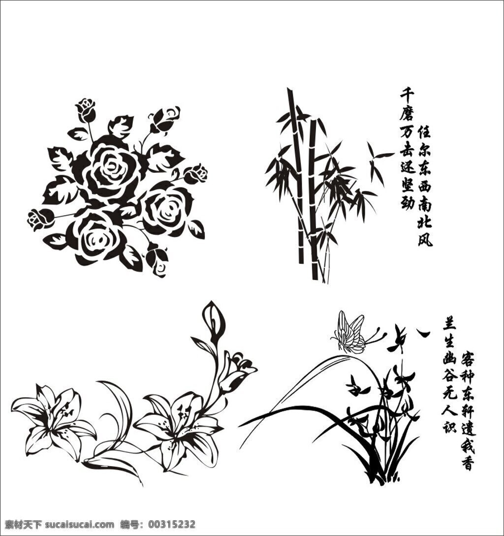 花卉黑白线描 线稿 黑白 花卉 白色