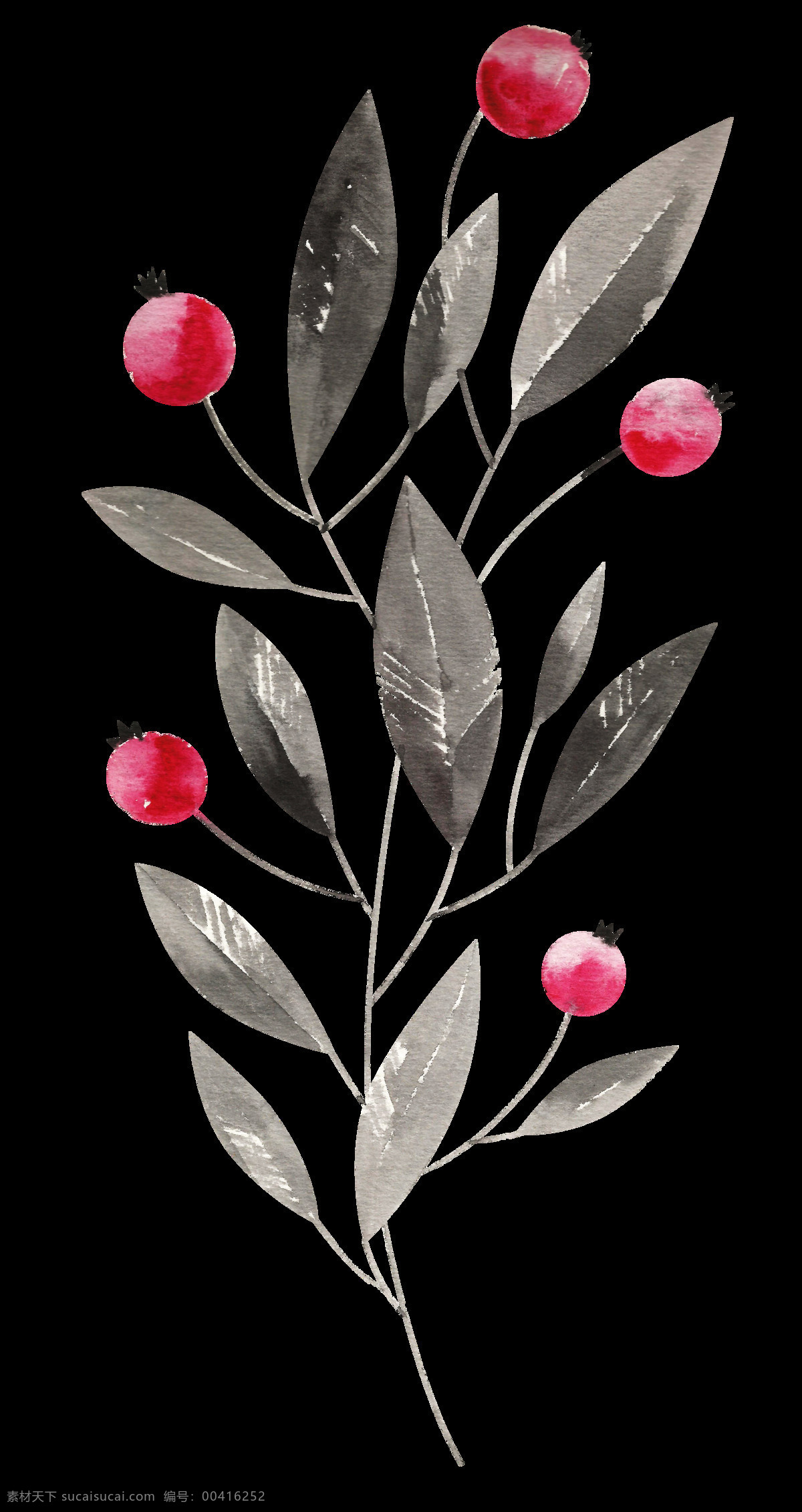 手绘 红石 榴 果子 透明 红色 灰色 叶子 装饰图案 渲染 水彩 免扣素材 透蜜素材