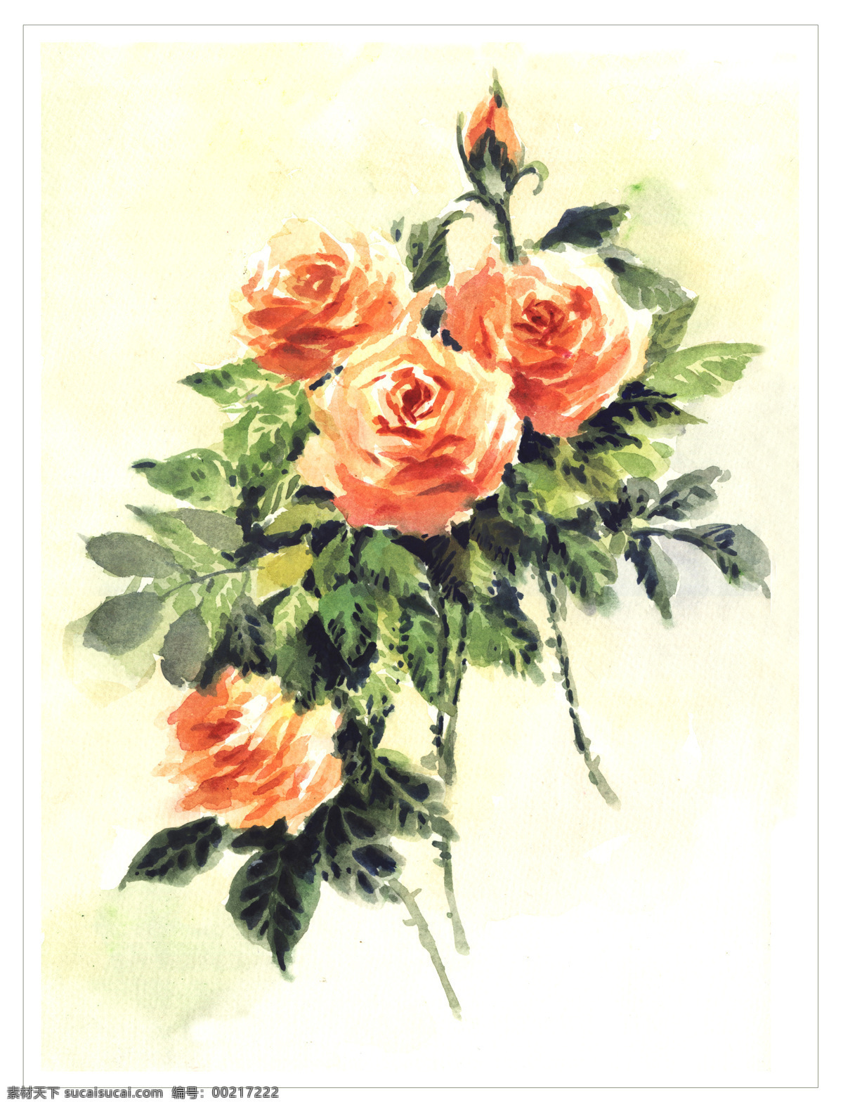 橙色 花 花朵 花卉 花纹 绘画书法 玫瑰 水彩 设计素材 模板下载 水彩橙色玫瑰 原创 4朵 水彩画 文化艺术