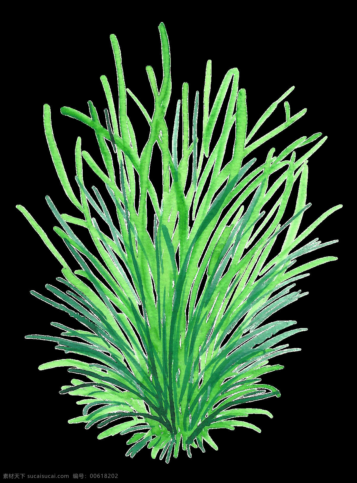 满 绿海 草 透明 装饰 海洋 免扣素材 透明素材 植物 装饰图案