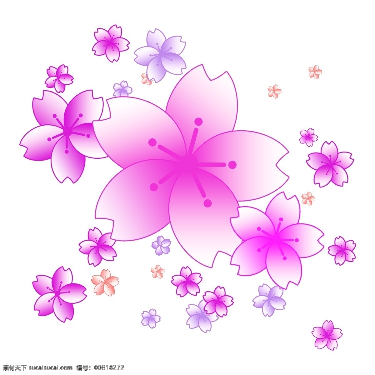 粉色 漂亮 樱花 插图 美丽的樱花 漂亮的樱花 盛开的樱花 樱花装饰 可爱的樱花 樱花花瓣