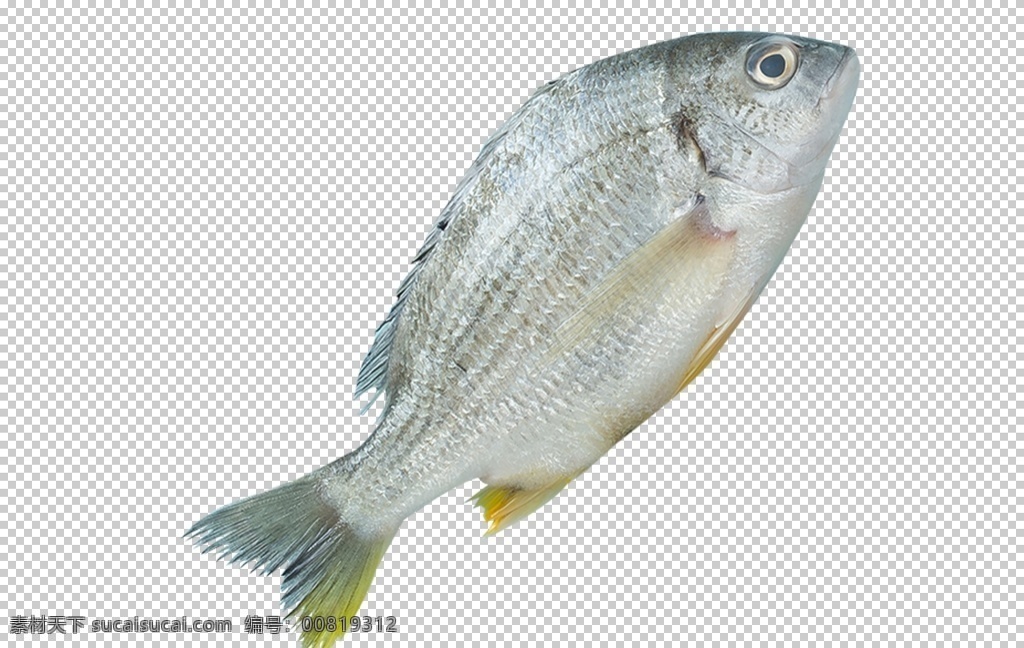 鱼 海鲜 食 材 海报 背景 食材 png格式