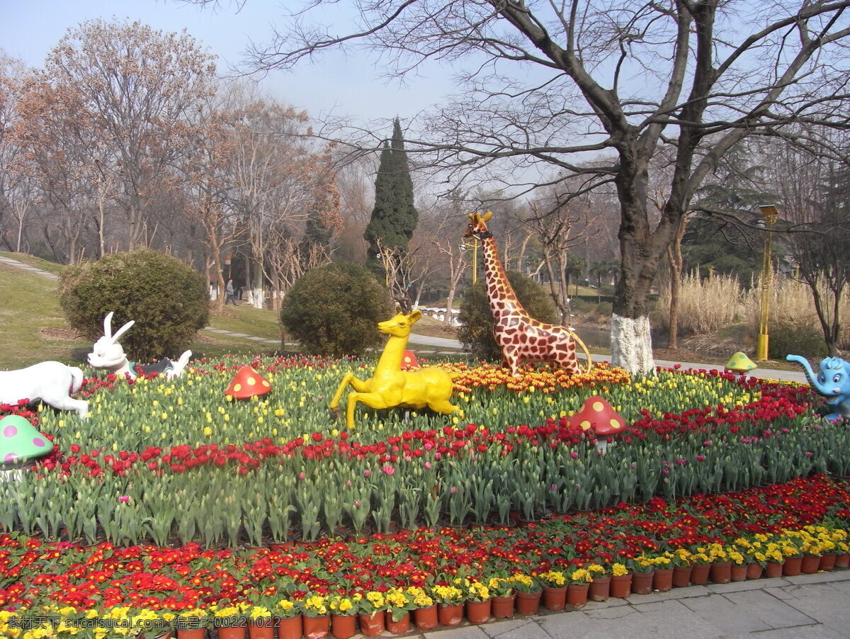 武汉解放公园 公园 武汉 动物 世界花卉 旅游摄影 国内旅游 灰色