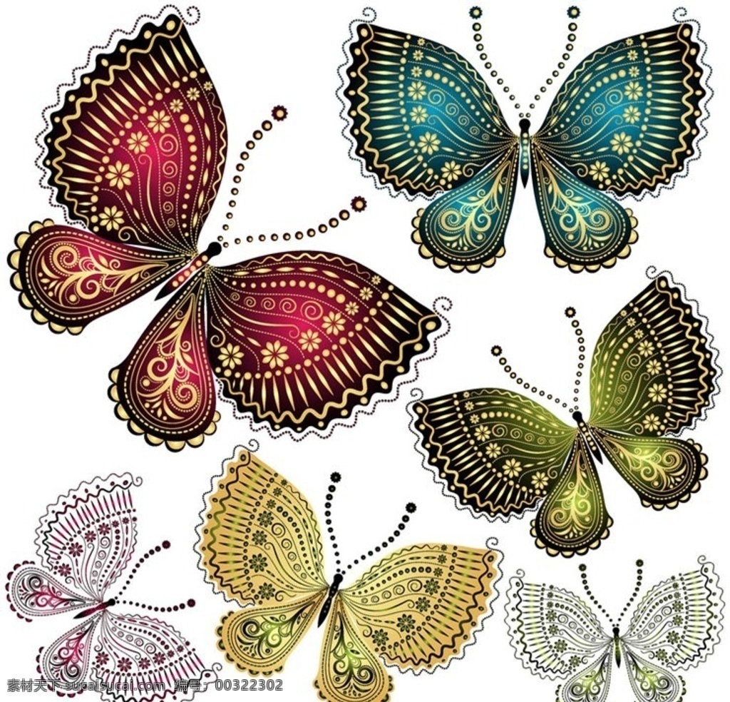蝴蝶 彩蝶 昆虫 飞虫 美丽蝴蝶 蝴蝶标本 butterfly 生物世界