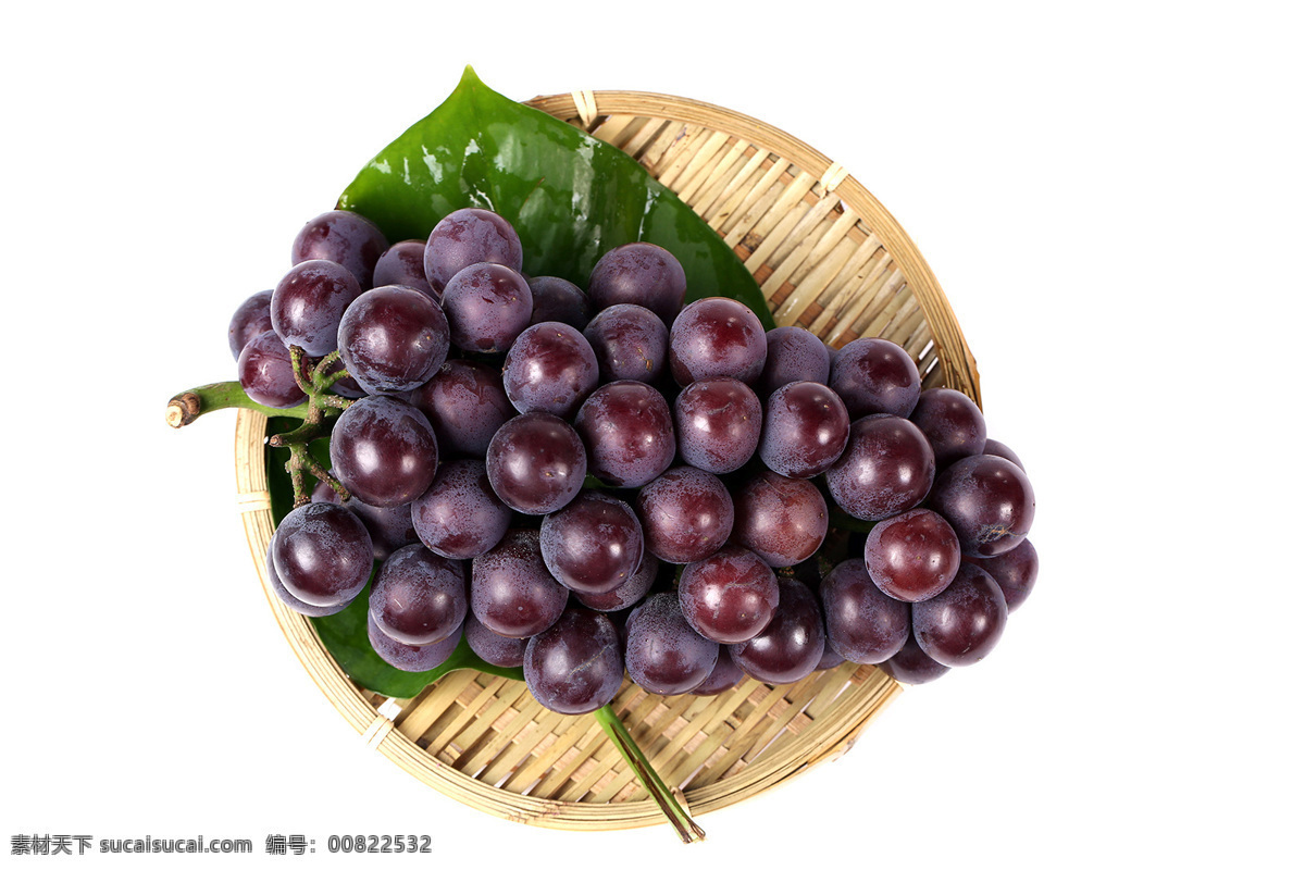 水果葡萄 新鲜 美味 酸甜 水果 葡萄 生物世界