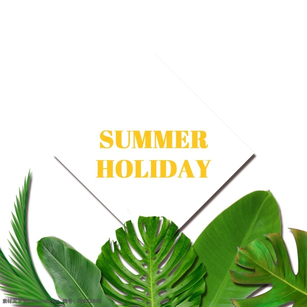 绿色 热带 夏季 树叶 矢量 植物 叶 大叶 文本 字体 图形设计 正方形