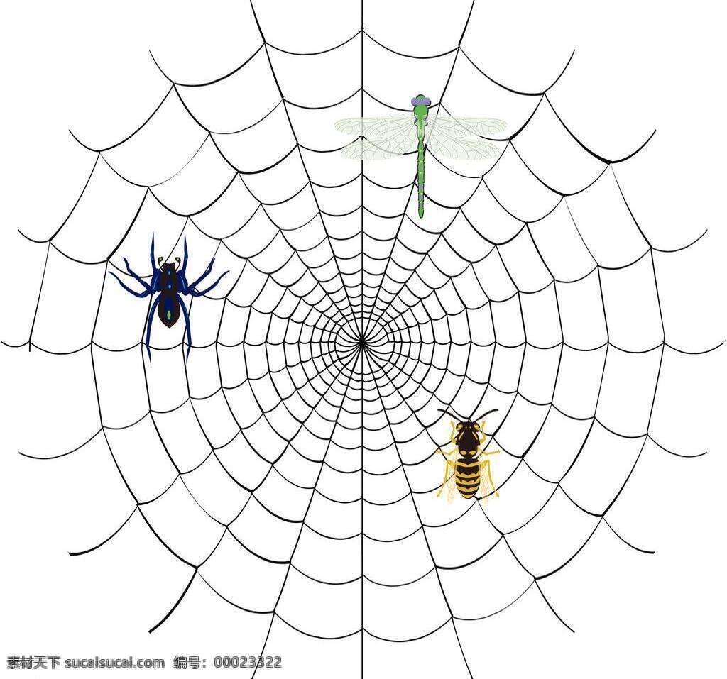 蜘蛛网 昆虫 生物世界 矢量 白色