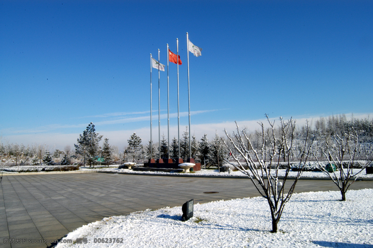 彩旗 东北 冬季 国内旅游 国旗 寒冷 旅游摄影 飘飘 彩旗飘飘 雪地 北方 白皑皑 雪飘飘 银白 冰城 冰城美景 psd源文件