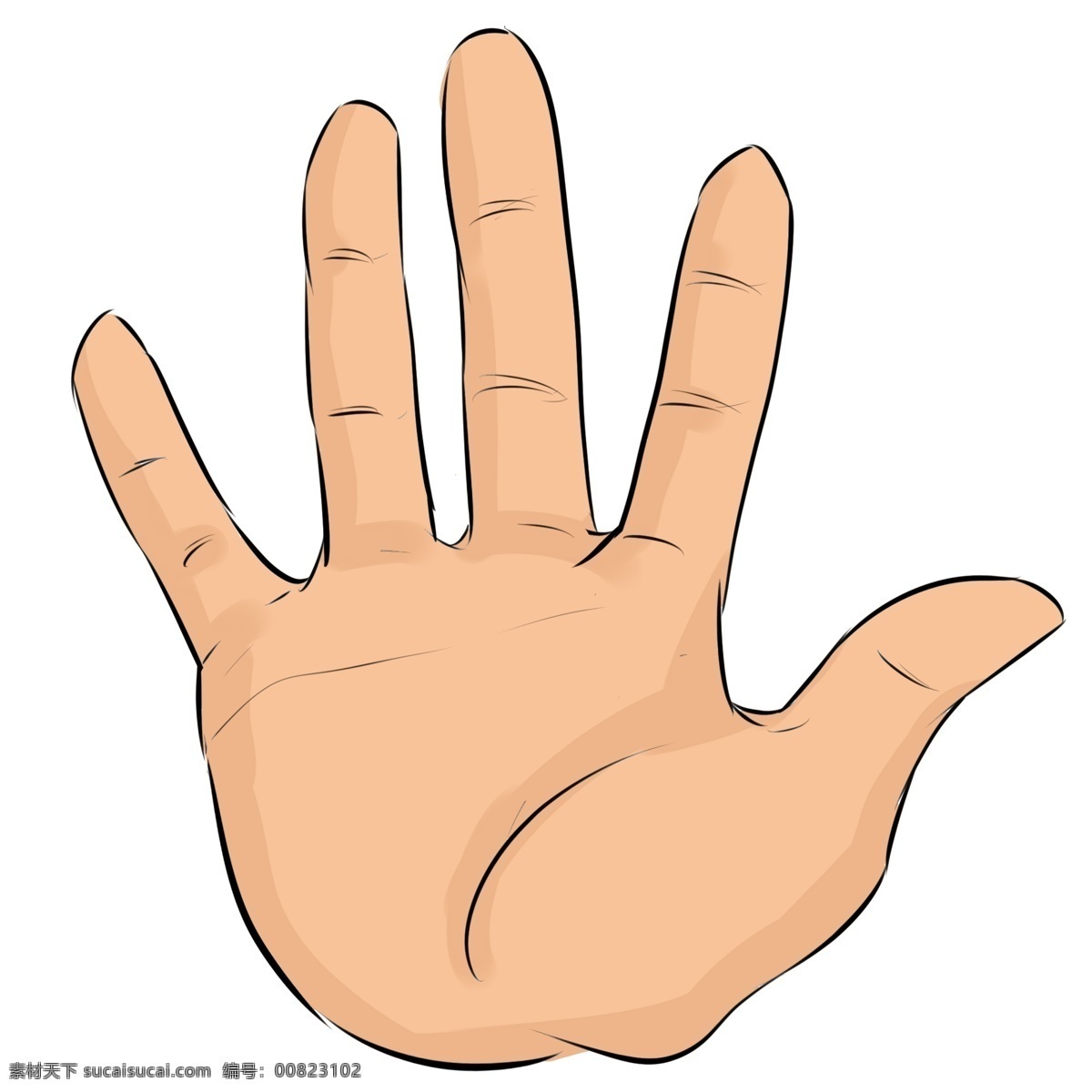 数字 五字 手势 插画 数字五手势 卡通插画 手势插画 比划手势 细长手指 长长的手指 漂亮的手掌