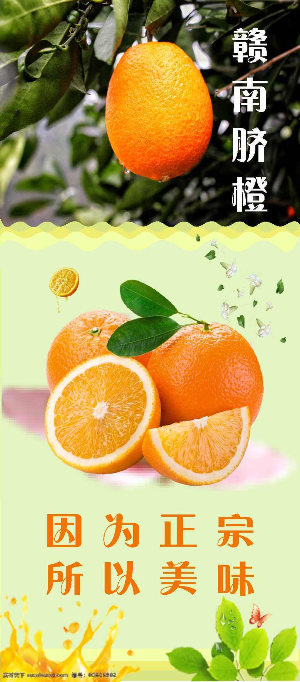 赣南 脐橙 宣传 展架 水果展架 赣南脐橙 花山农场 花山农业