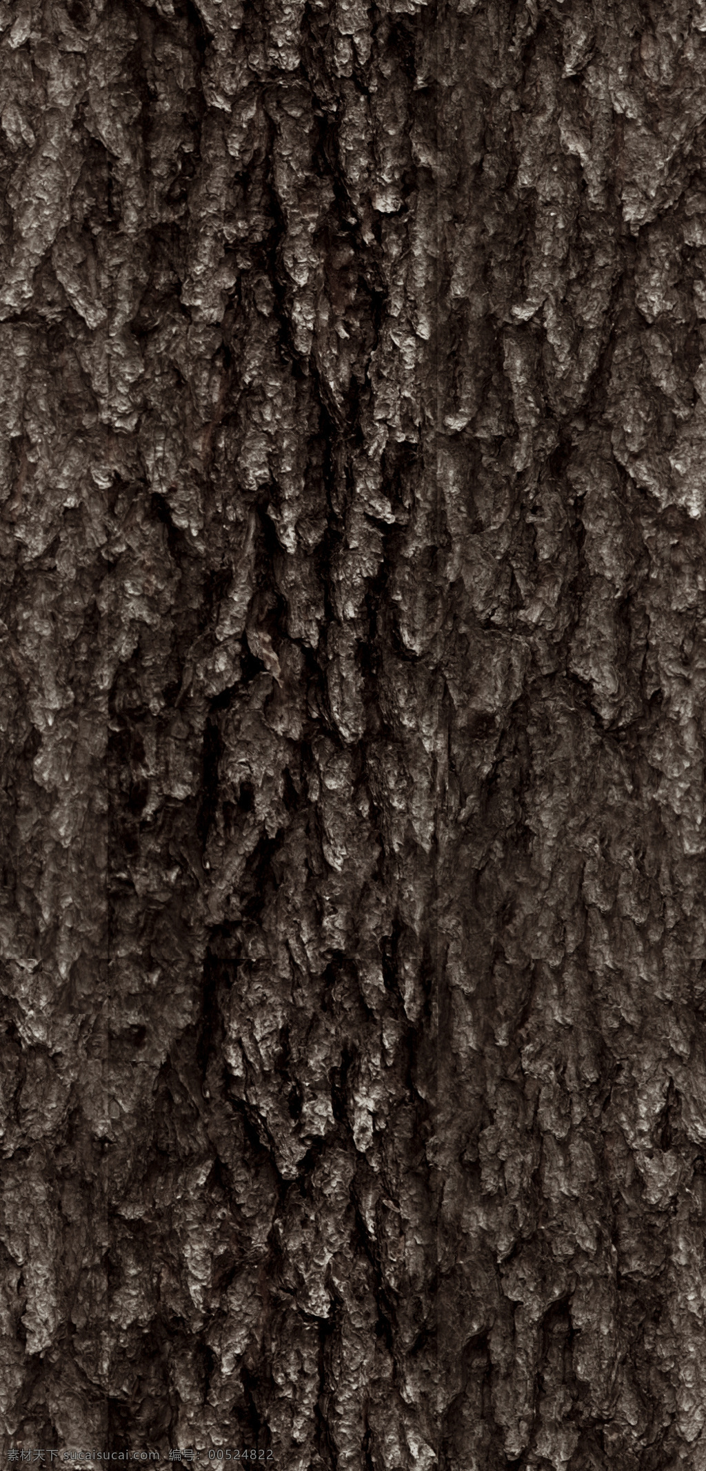 sylvestris 带 贴图 长白 松 pinus 苏格兰松 欧洲赤松 樟子松 树 植物模型 树木模型 3d模型素材 动植物模型