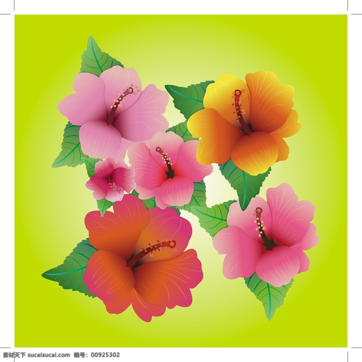 芙蓉向量 背景 草裙舞 春天 党 岛 芙蓉 花 假期 假日 开花 阿罗哈 真美 丰富多彩的 夏威夷 夏天 织物 旅游 旅行 热带的 矢量图 其他矢量图