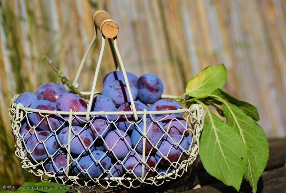 葡萄 树叶 篮子 木头 绳子 生物世界 水果