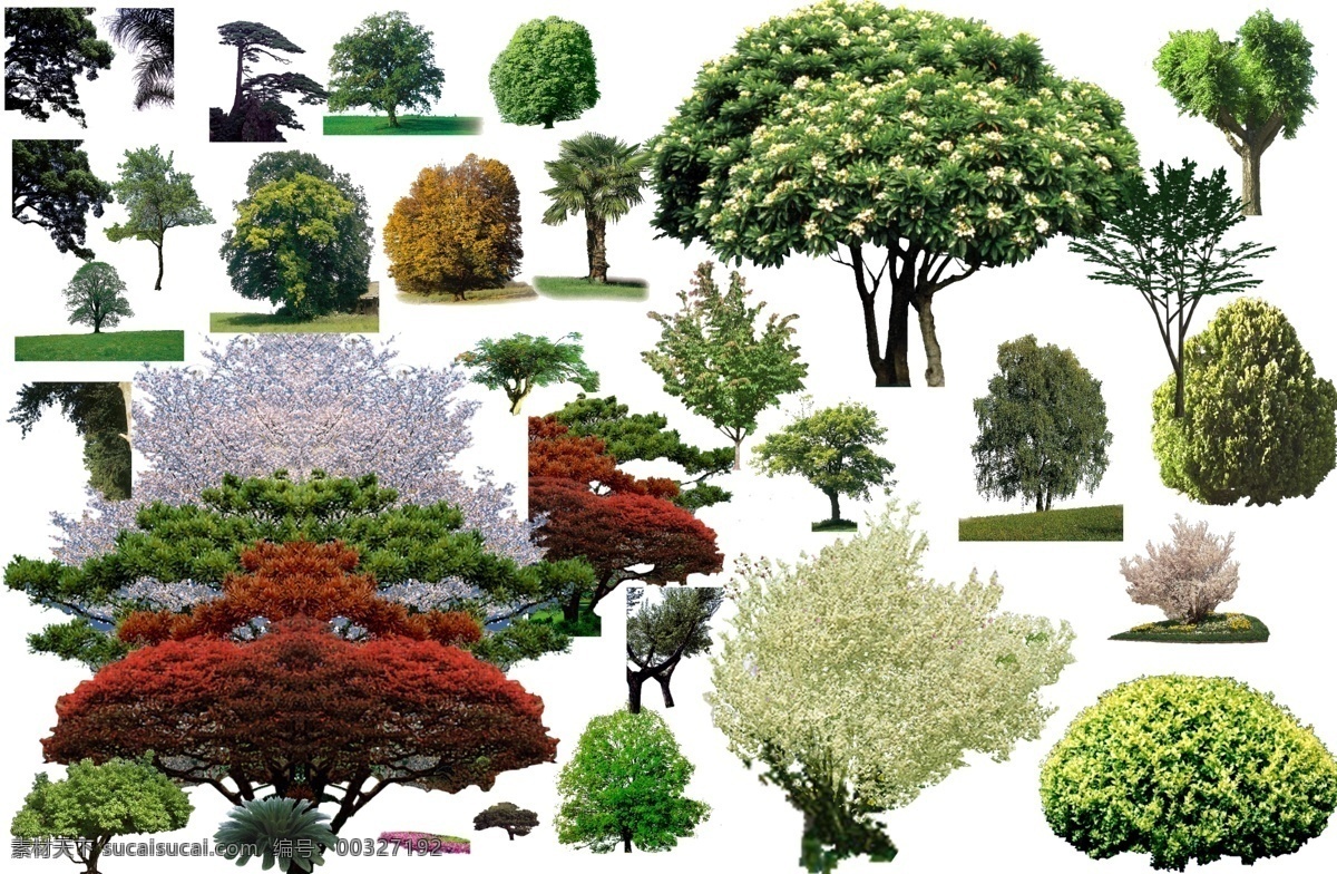 景观 后期 常用 植物 鸟瞰 景观后期 常用植物 鸟瞰植物素材 树种绿化 后期素材 配景 绿化景观 环境设计 园林设计 景观设计
