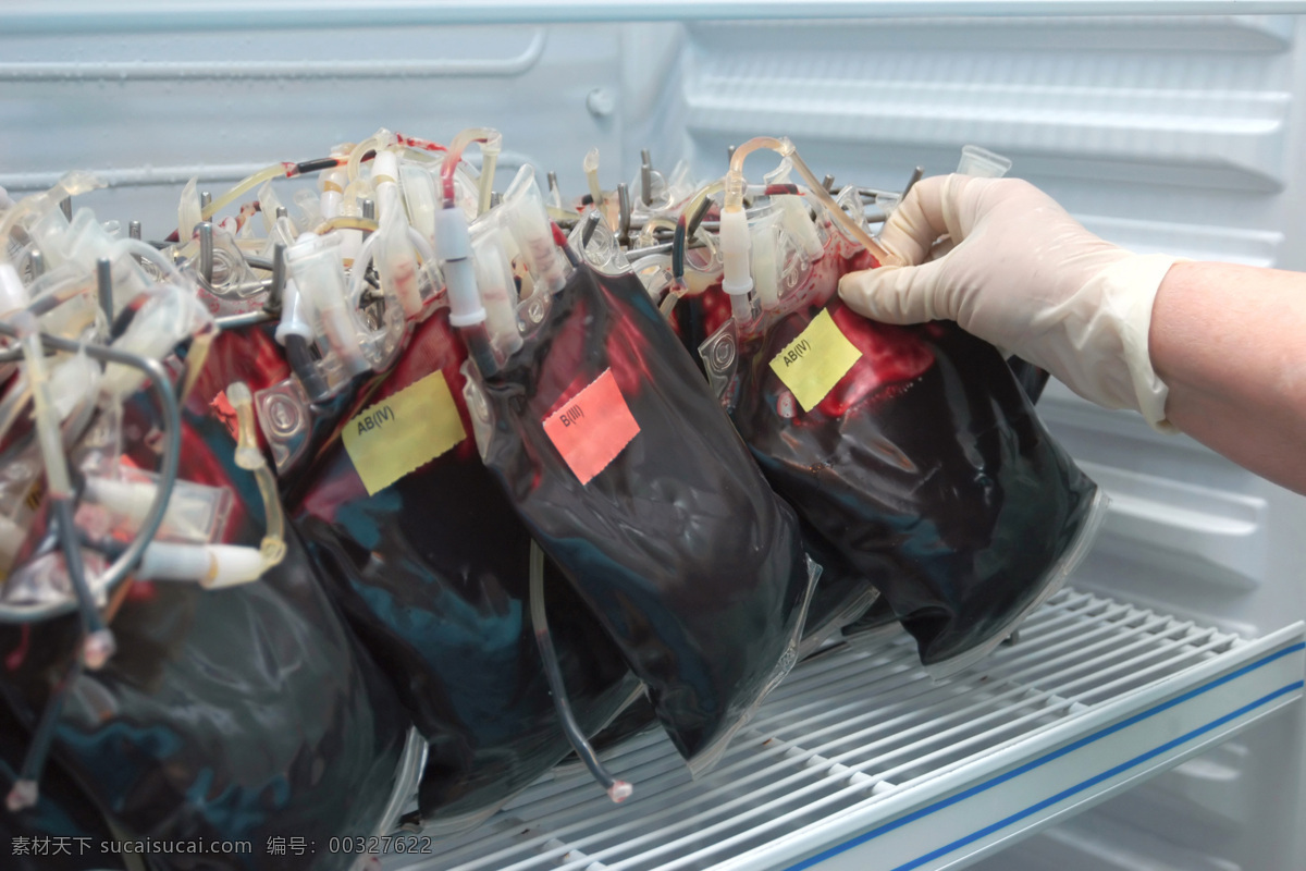 储藏室 内 血袋 献血 血液 医学 医疗 其他人物 人物图片