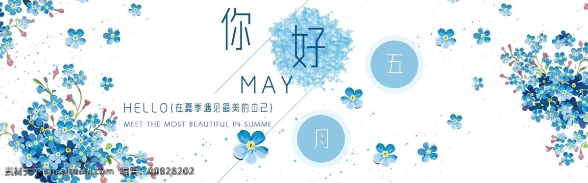 你好 最美 蓝色 花季 五月 最美的