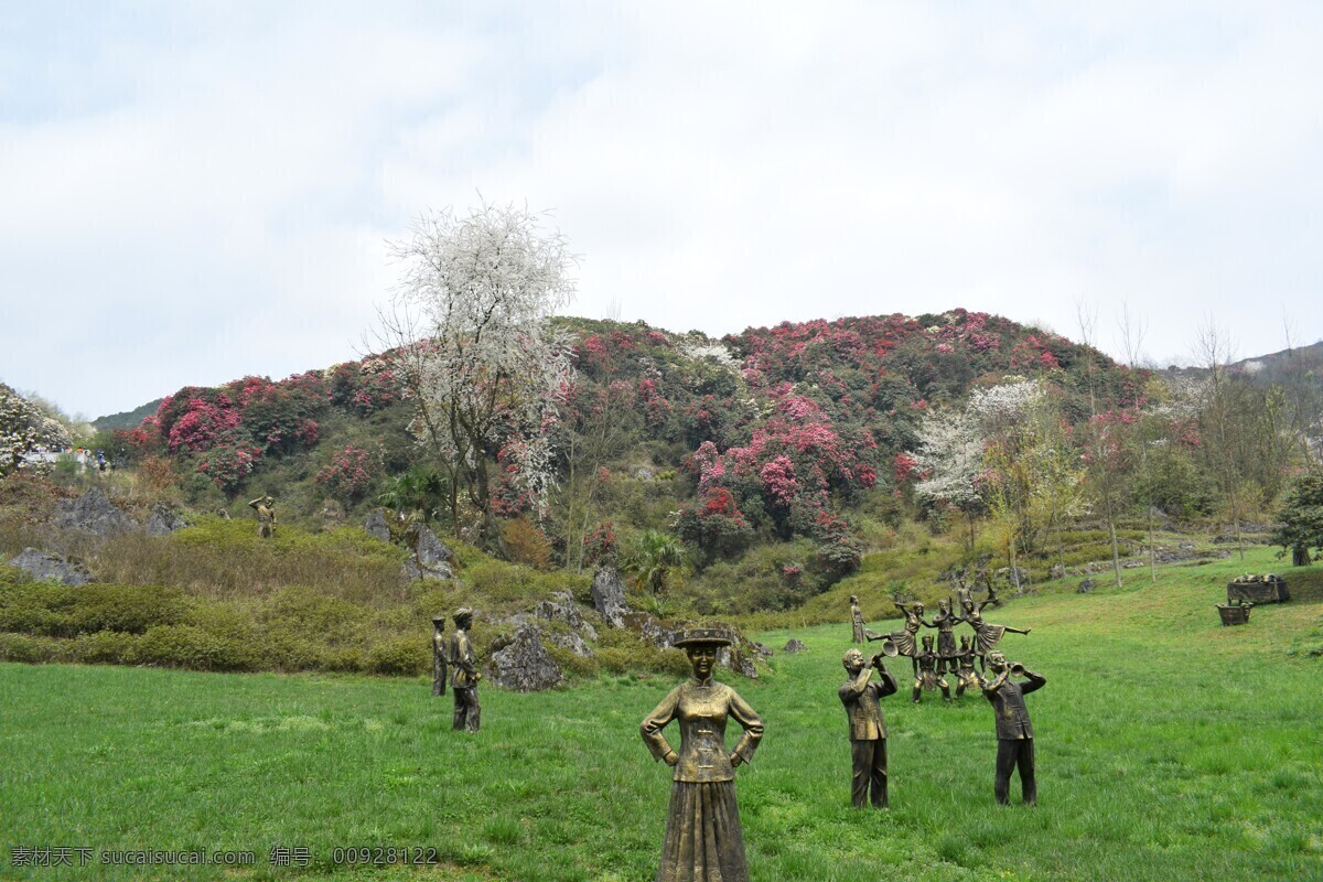 贵州 毕节 黔西 百里杜鹃林带 花海 杜鹃花 风景 自然景观 山水风景