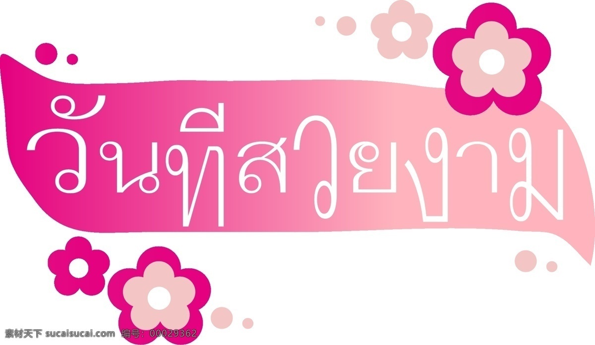 美丽 桃红色 花 泰国 文本 字体 粉红色的花朵