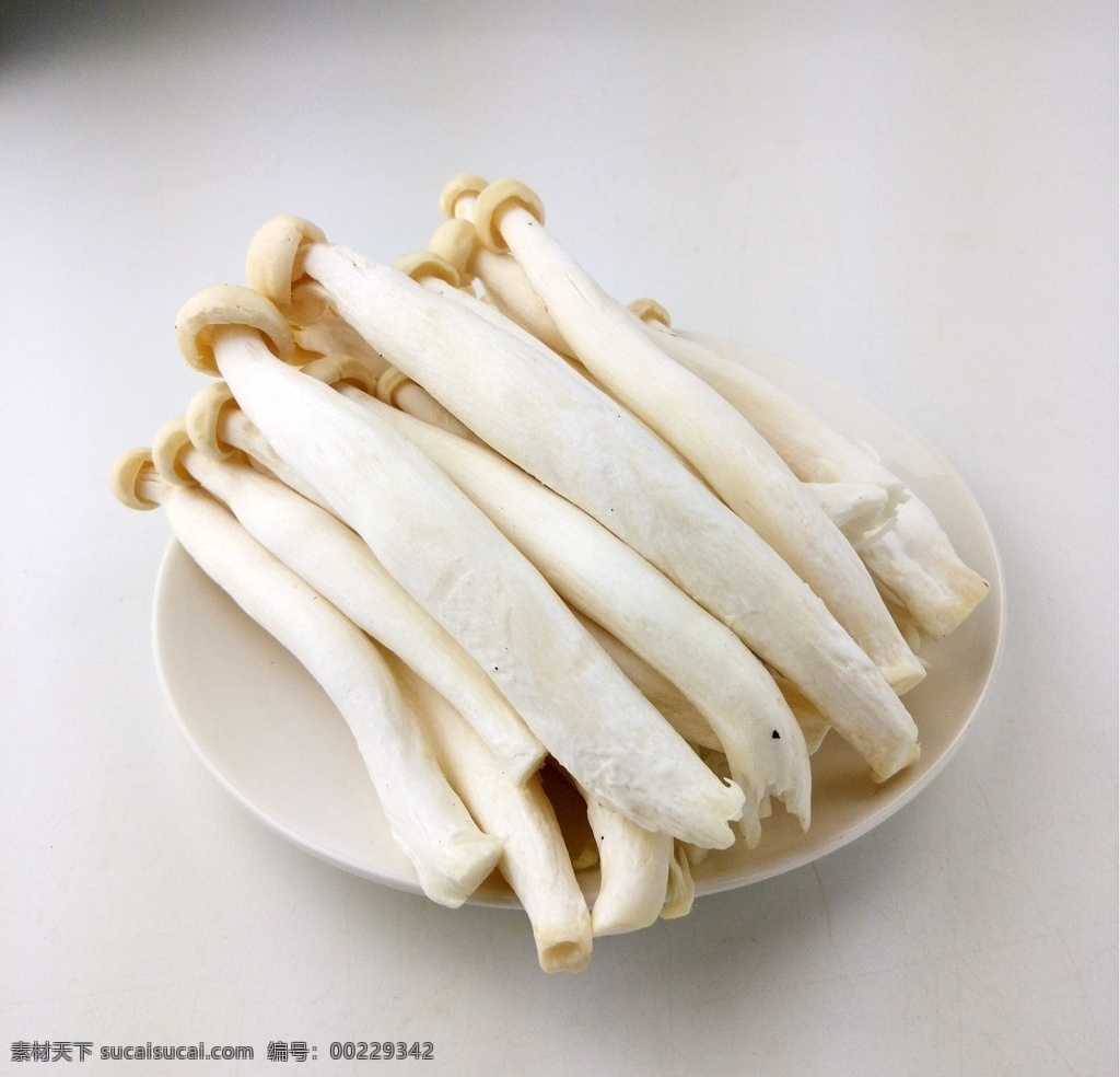 海鲜菇 菇 蘑菇 海鲜菇图片 鲜海鲜菇 生物世界 蔬菜