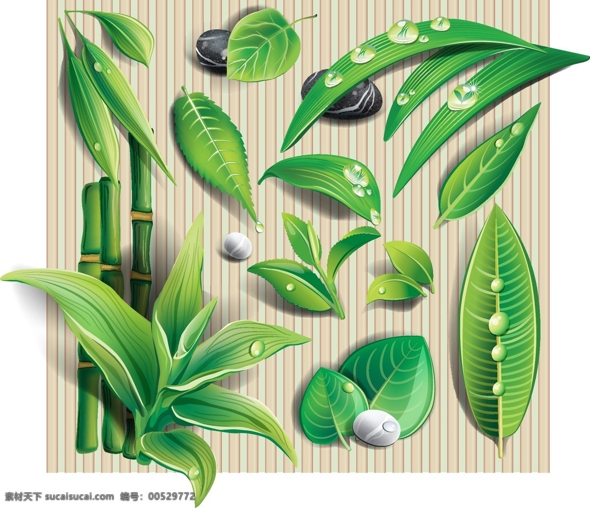 细 石 矢量 植物 真美 水疗生活馆 矢量图 其他矢量图