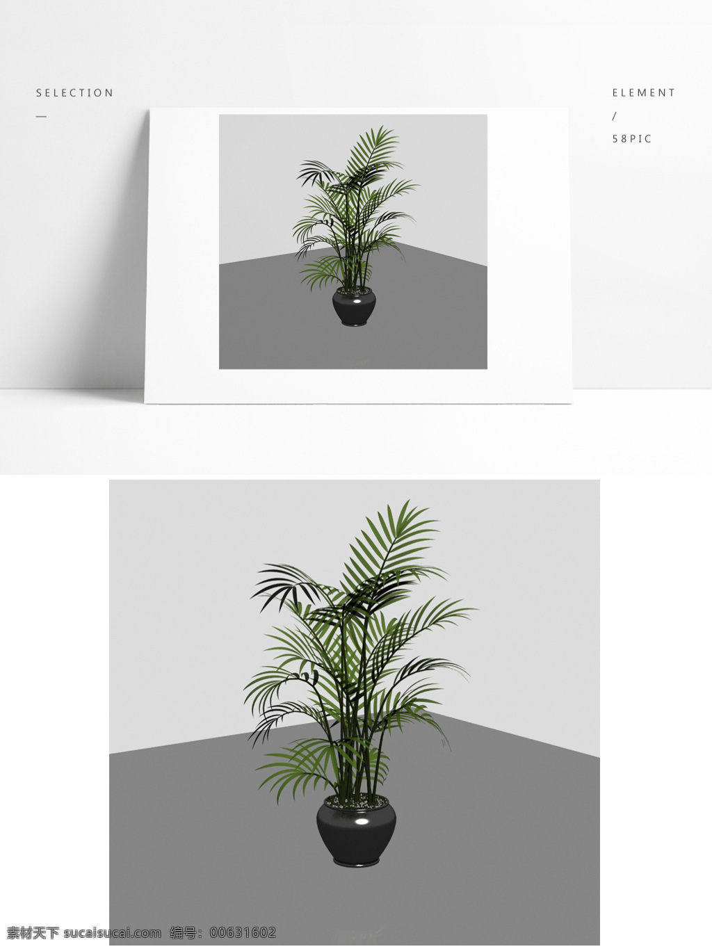 精细 盆景 植物 模型 盆栽 绿植