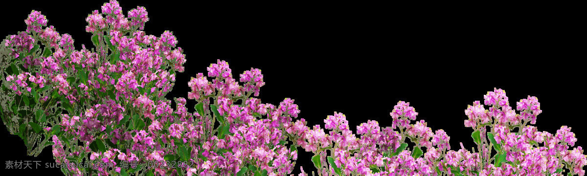 粉色 花团 簇拥 清新 元素 png元素 贺卡 婚礼 免抠元素 欧式 透明元素