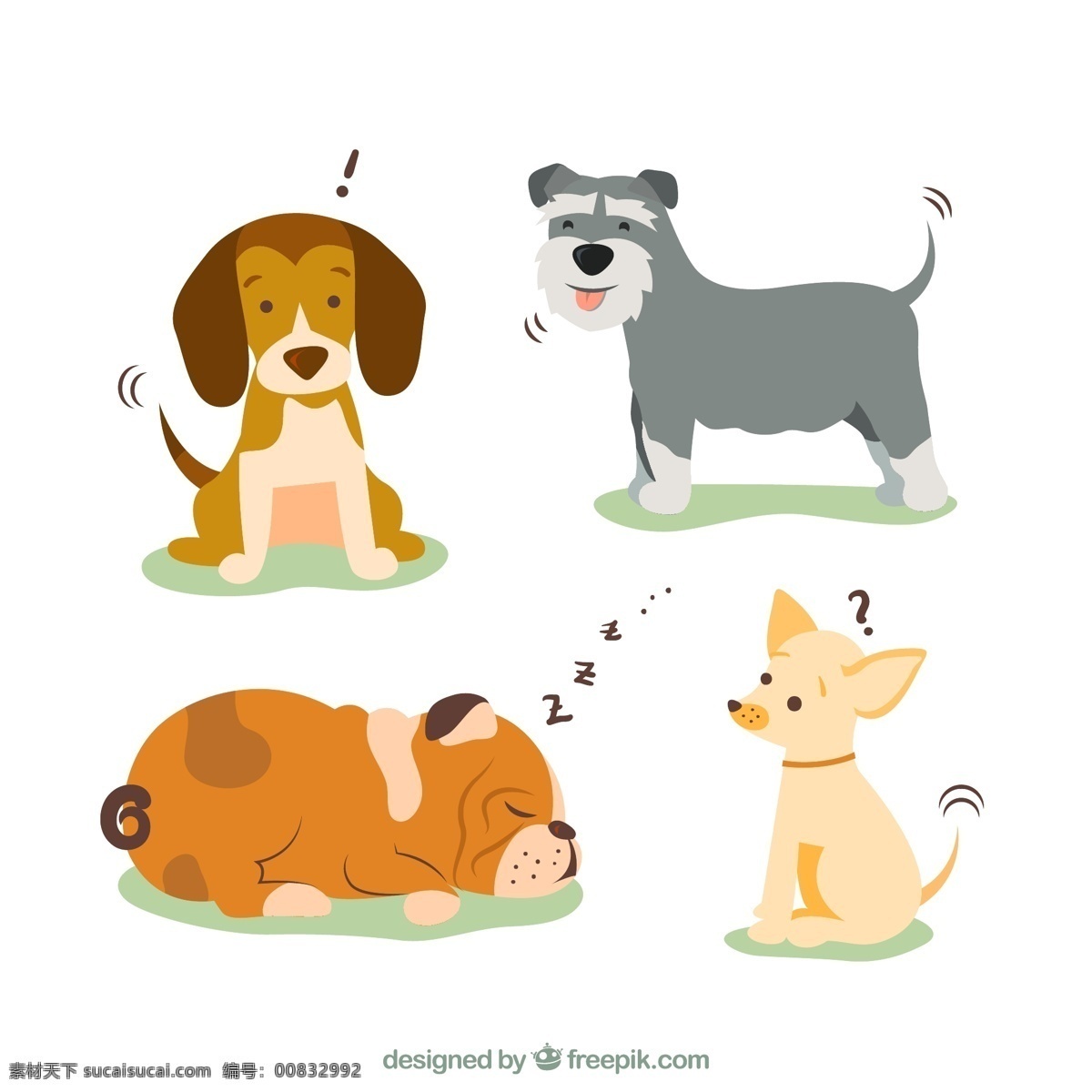 卡通 狗 矢量 雪纳瑞 吉娃娃 沙皮狗 宠物 动物 高清图片