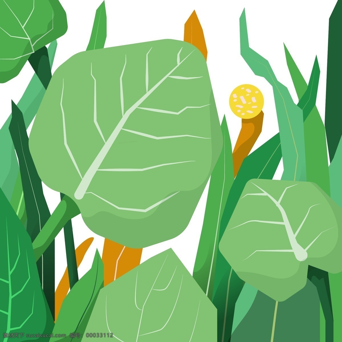 宽 叶子 原创 背景 绿色 植物 小清新 春天