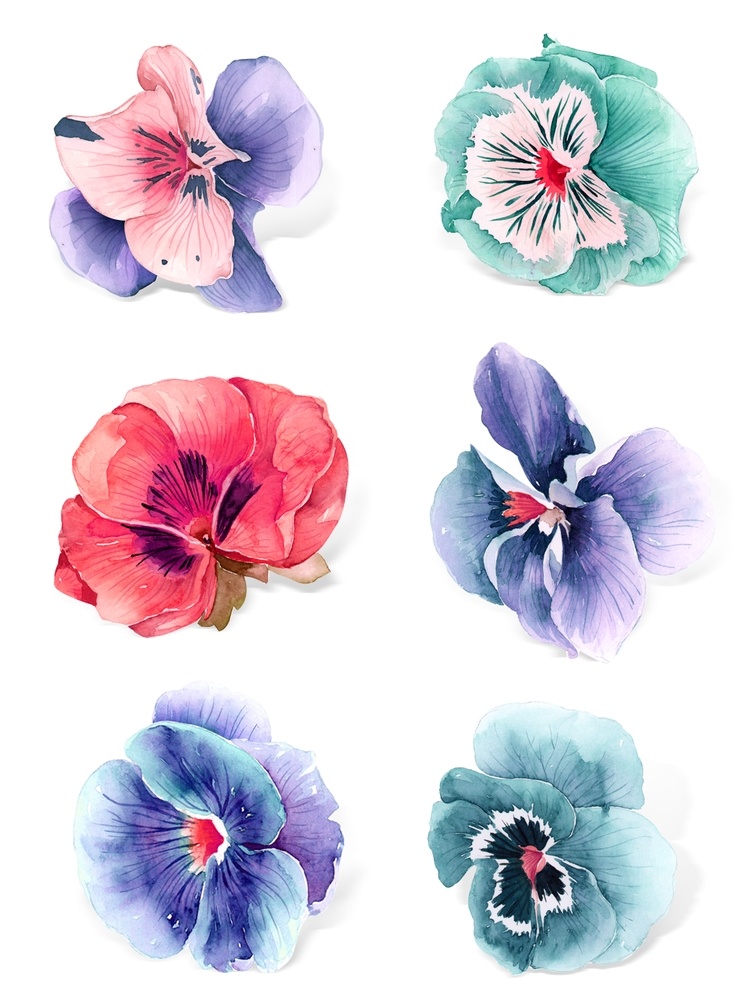 手绘花草 牡丹花园 元素素材 小碎花 喇叭花 玫瑰花 向日葵 小花复古花 服装设计 花 面料花 底纹花 数码印花 孔雀背景图 碎花 匹布花 裁片花 玫瑰画 花朵 裙子花 格子花 几何图 腰果花 女人头 童装花 独角兽 分层 民族风 匹布面料花 山水画 国画 水墨画 荷花