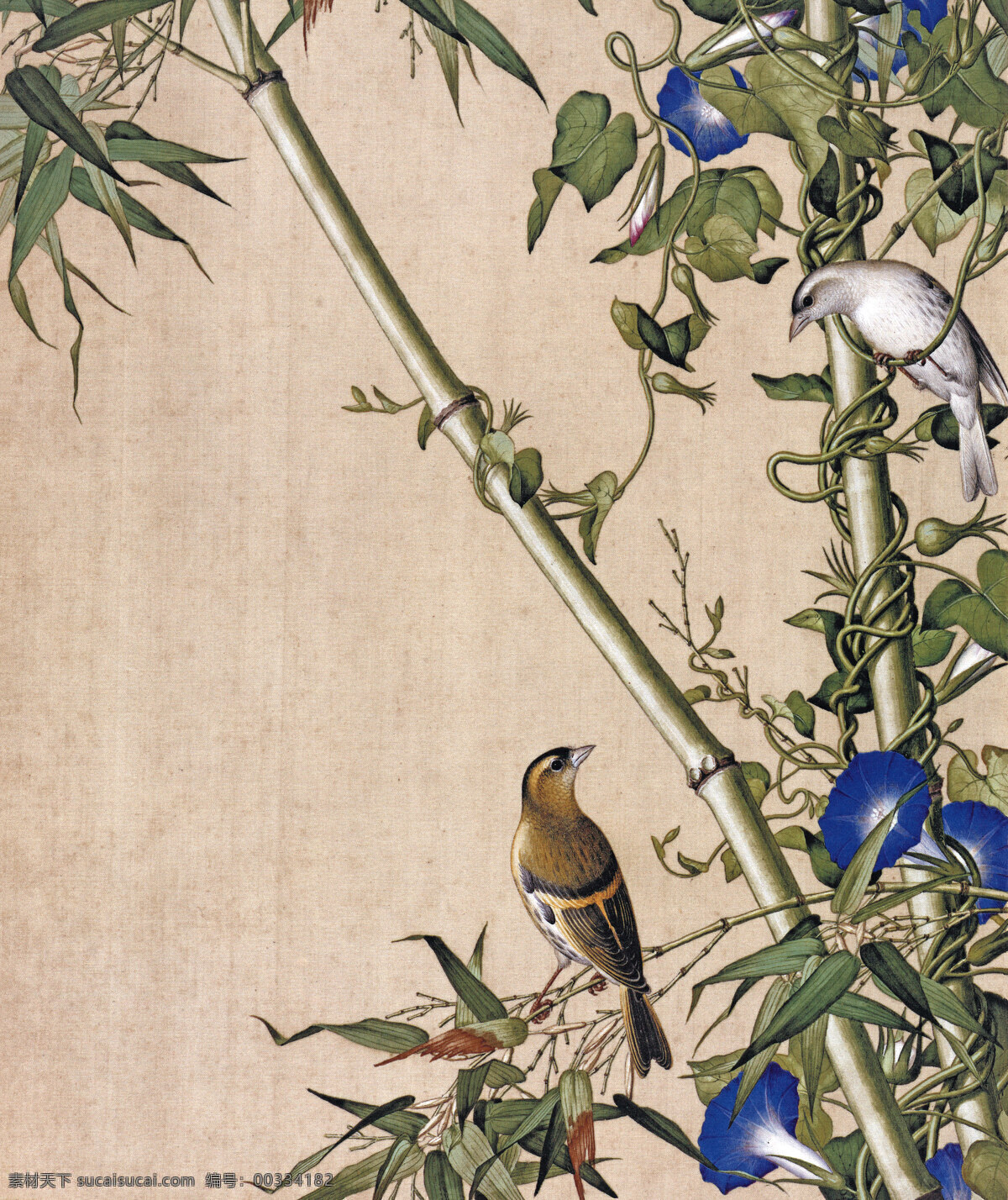 郎世宁 翠竹牵牛 名画 古画 国画 中西合璧 花鸟 故宫 文化艺术 绘画书法
