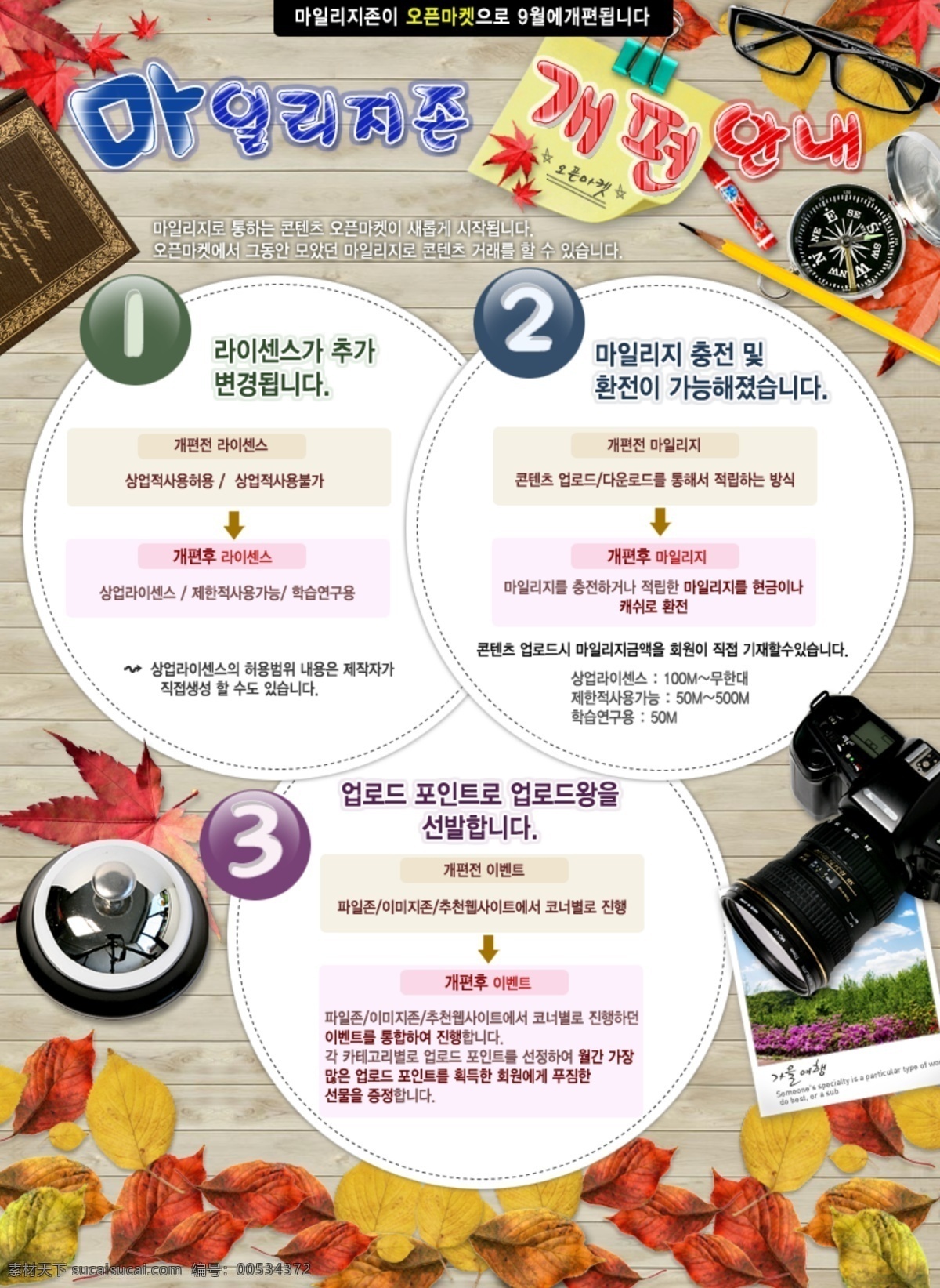 韩国 版式 树叶 网页设计素材 宣传海报 眼镜 照相机 宣传单 彩页 dm