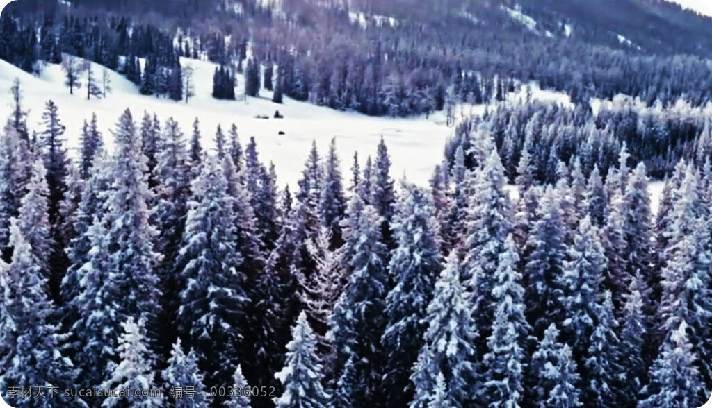 北方 初冬 雪景 视频 冬天 下雪 风景 风光